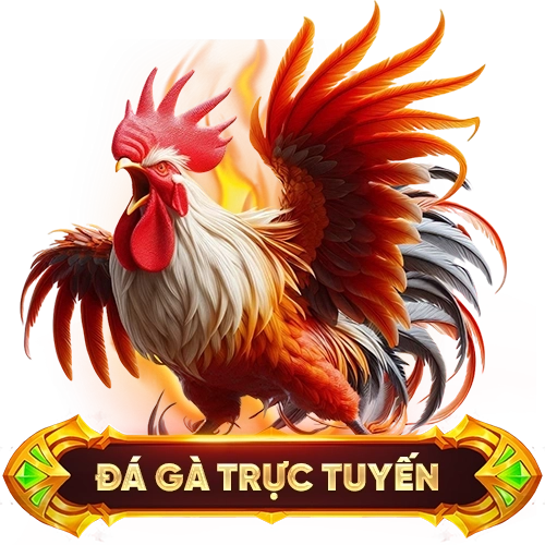 đá gà trực tuyến 88BET